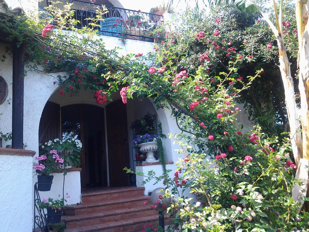 B&B Villa Piera Montecucco Stintino Exterior foto